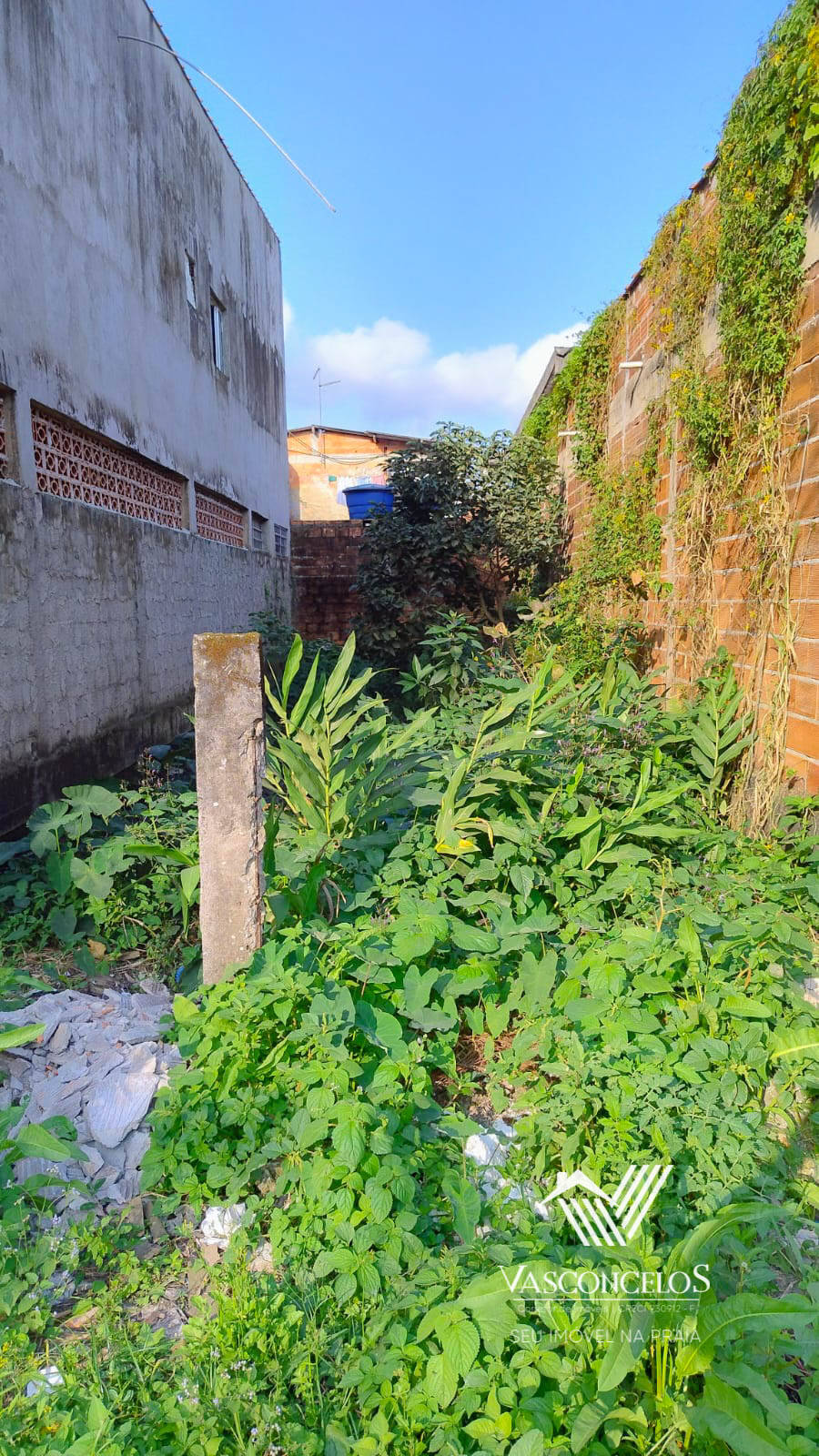 #376 - Área para Venda em Bertioga - SP