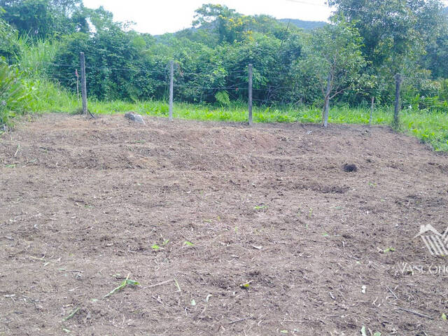 #245 - Terreno para Venda em Bertioga - SP