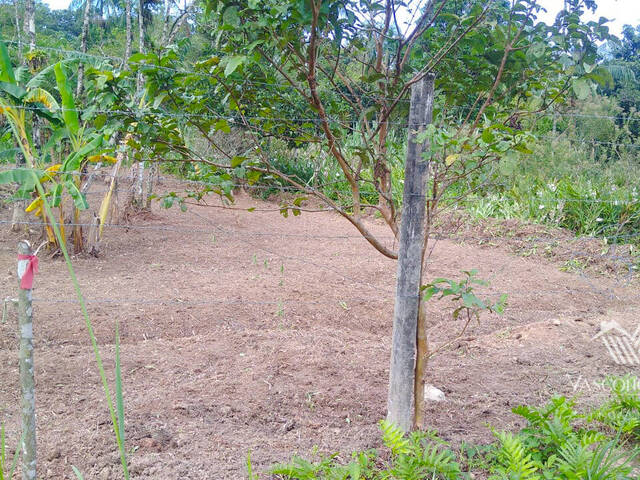 #245 - Terreno para Venda em Bertioga - SP - 3