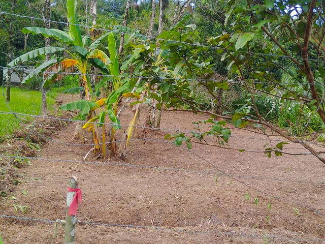 Terreno para Venda em Bertioga - 4