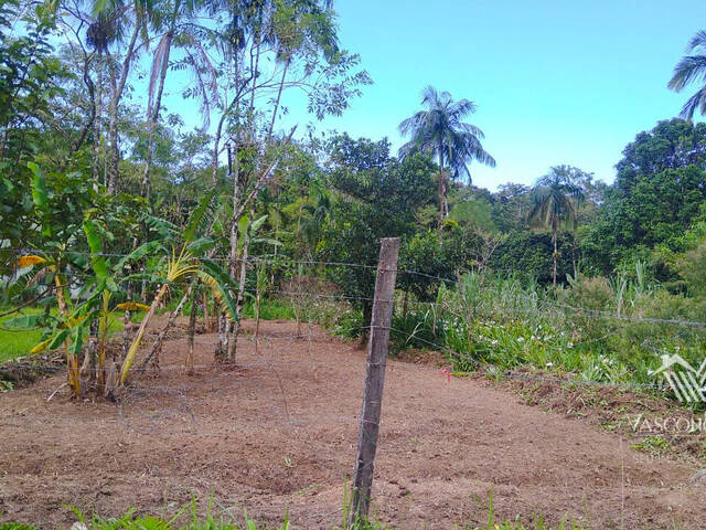 #245 - Terreno para Venda em Bertioga - SP