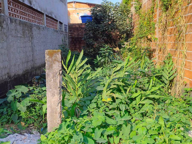 #376 - Área para Venda em Bertioga - SP - 1