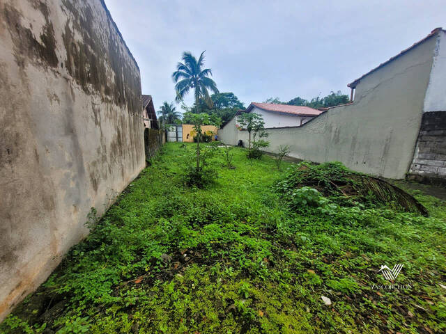 #393 - Área para Venda em Bertioga - SP - 1