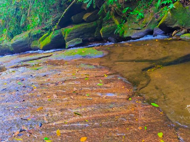 #475 - Casa para Venda em Bertioga - SP